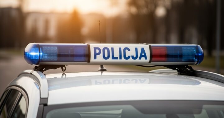 policjanci-zabezpieczyli-papierosy-bez-polskich-zn-auto-6084